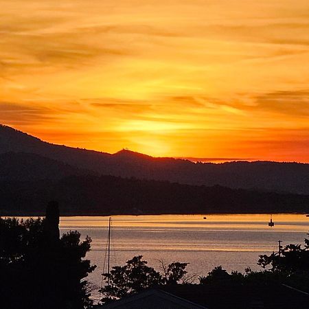 Apartment Zara Biograd Na Moru Bagian luar foto