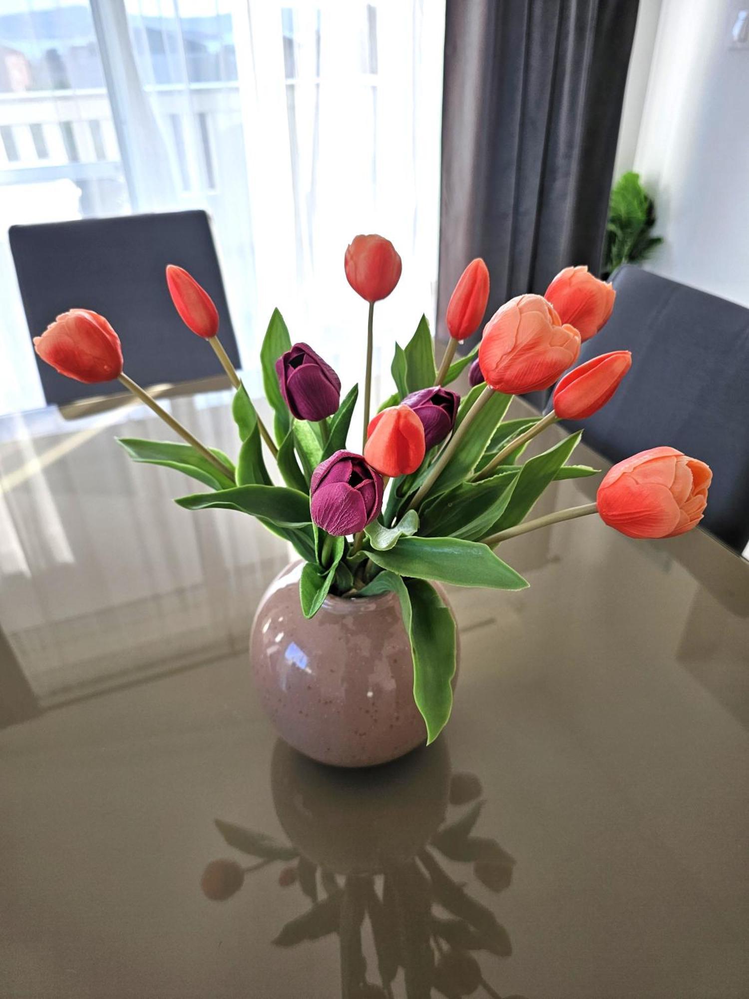 Apartment Zara Biograd Na Moru Bagian luar foto